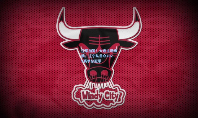 辽军加冕！大连主场沸腾，辽宁队勇夺2025赛季总冠军