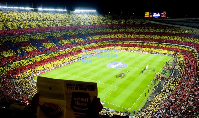 百米飞人巅峰对决，新星崛起与传奇卫冕的激情碰撞