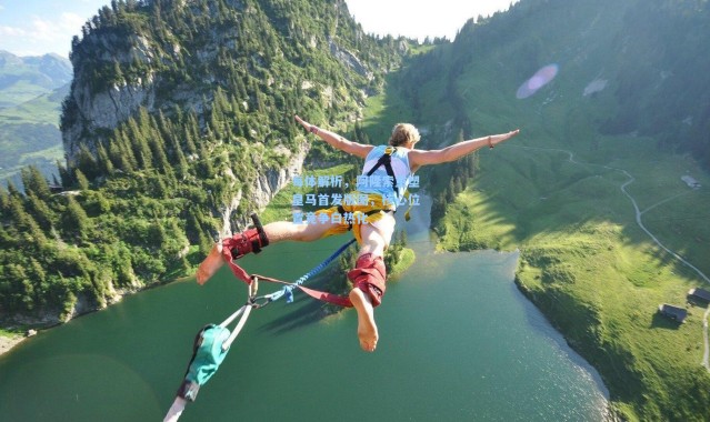 每体解析，阿隆索重塑皇马首发版图，核心位置竞争白热化