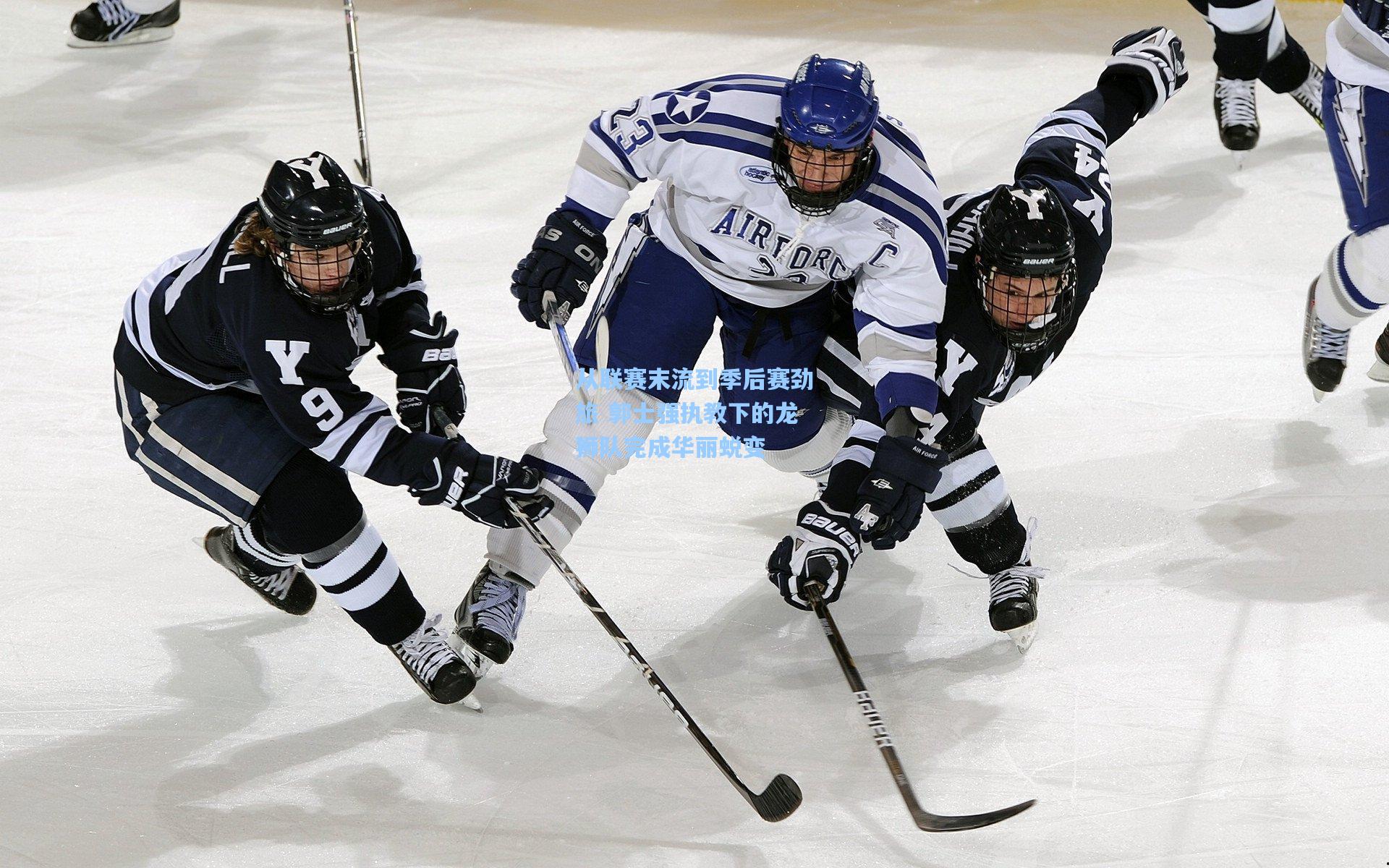 从联赛末流到季后赛劲旅 郭士强执教下的龙狮队完成华丽蜕变